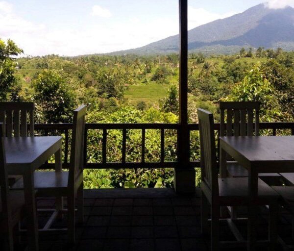 dining-room-view