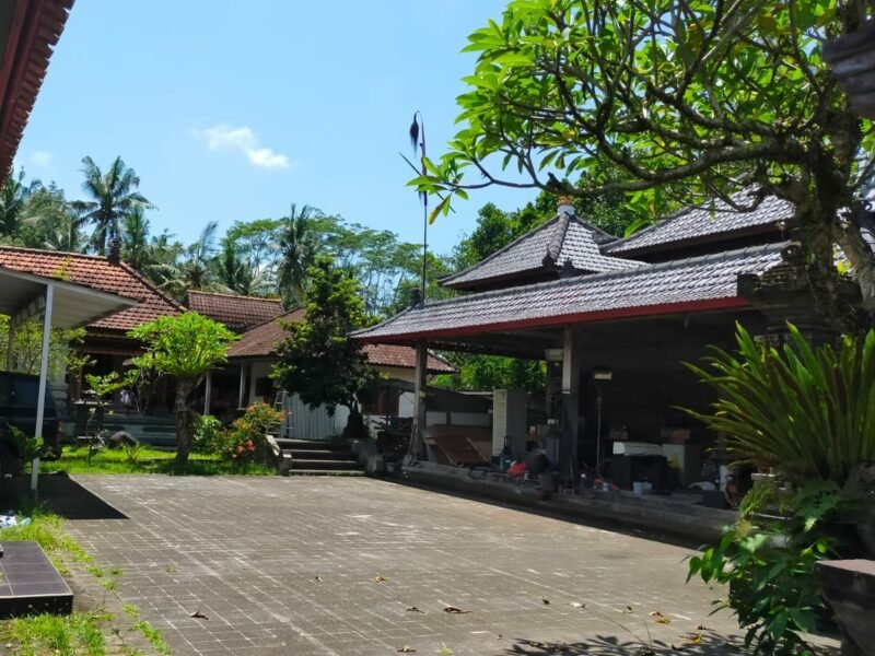 pejeng centre