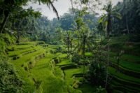 21-Day Volunteer Road Trip, Bali