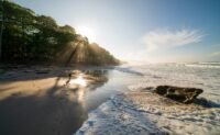 Beach Clean-Up & Nature Reserve, Costa Rica