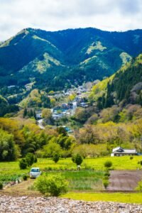 Agriculture & Farming, Japan