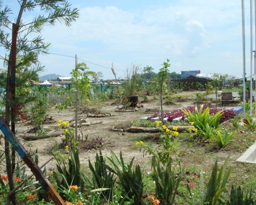 Borneo Special Needs Education centre garden