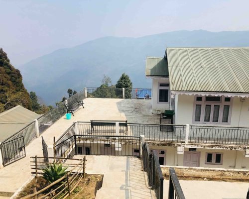 dog Rehabilitation Darjeeling