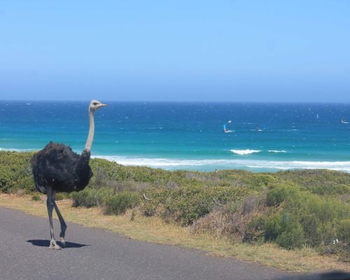 beach on Peninsula Tour