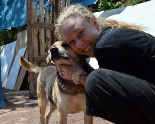 Dog Rehabilitation Peru (2)