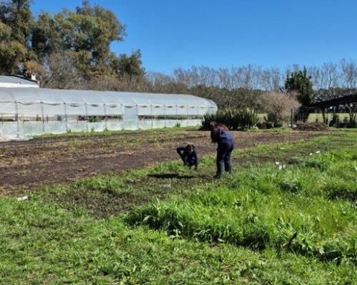 working in the field