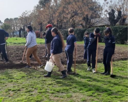 Environmental Teacher Assistant Program