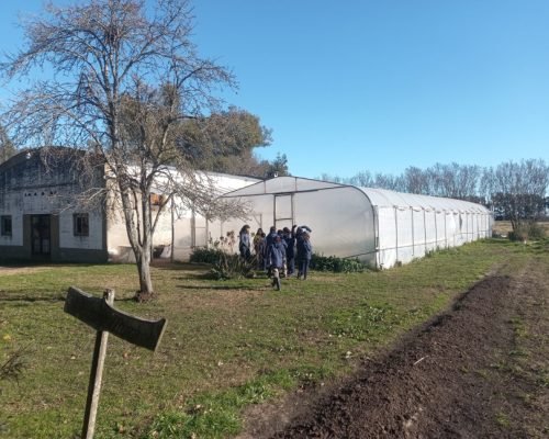 Environmental Teacher Assistant Program