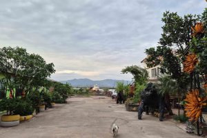 Ha Long Bay Accommodation