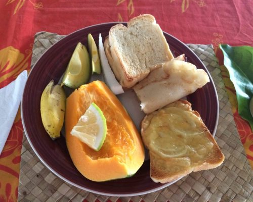 nutrition program in samoa for dieticians and nutritionists