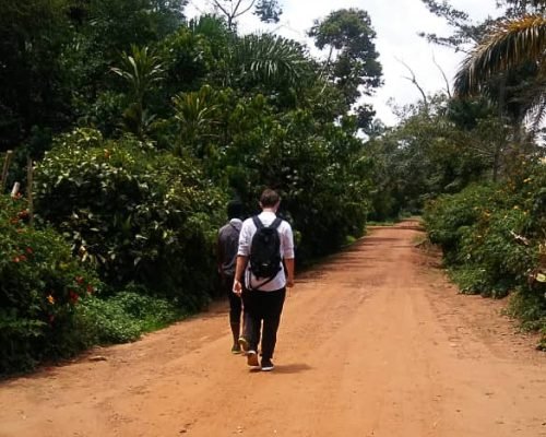 Touring around the Tarzan jungle in botanical gardens