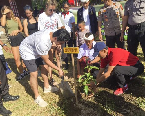 planting a tree