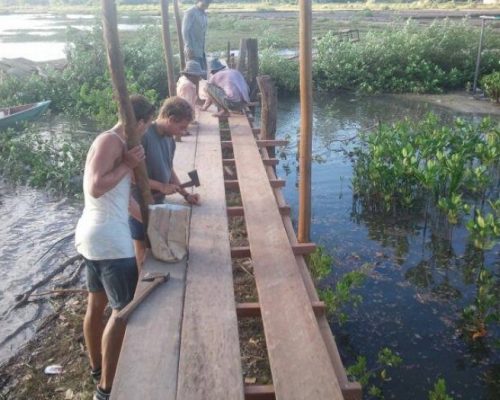 bridgewalk over mangroves with volunteering conservation
