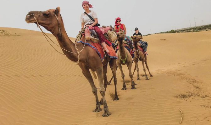 riding camels in India