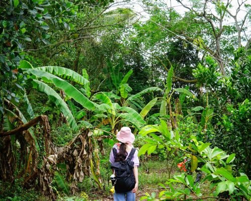 hainan village discovering